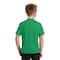 Port & Company® Colors Fan Favorite™ Youth T-Shirt